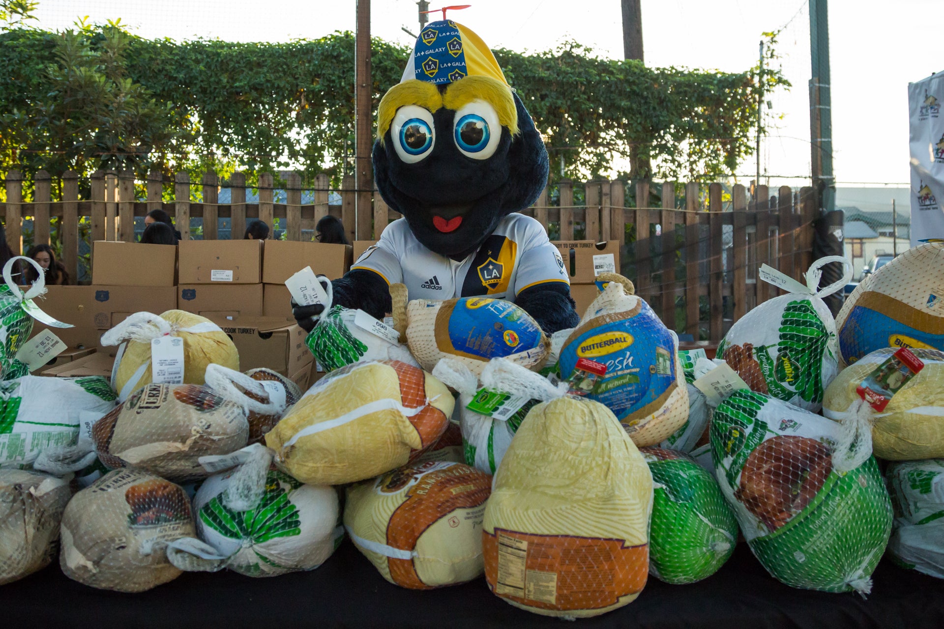 More Info for StubHub Center Foundation and LA Galaxy Foundation to host 14th Annual Thanksgiving Foundations' Feast