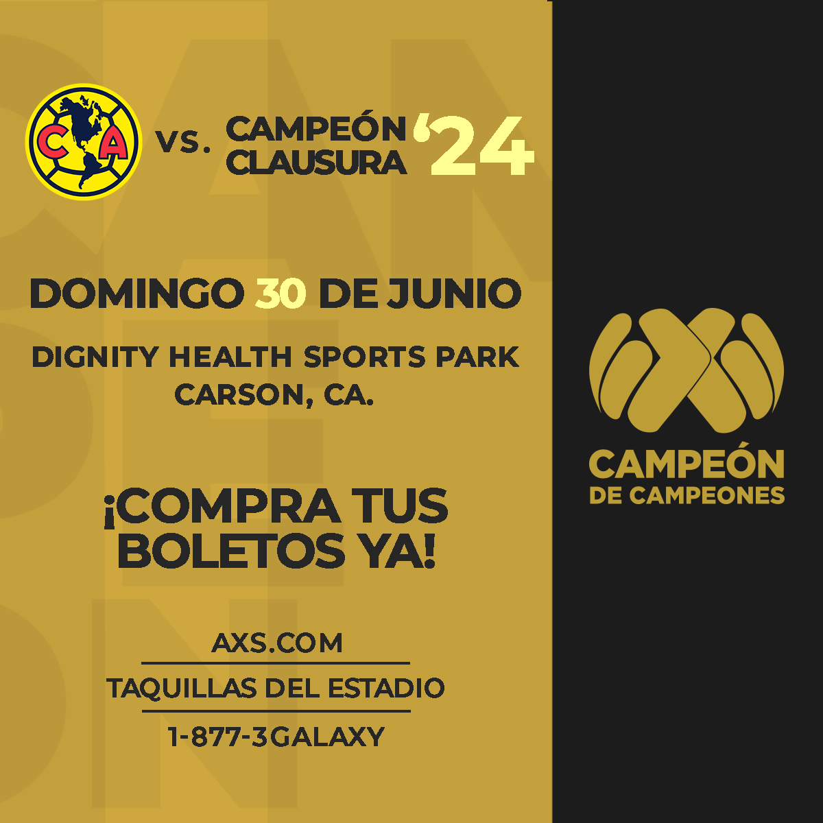 More Info for Campeón de Campeones