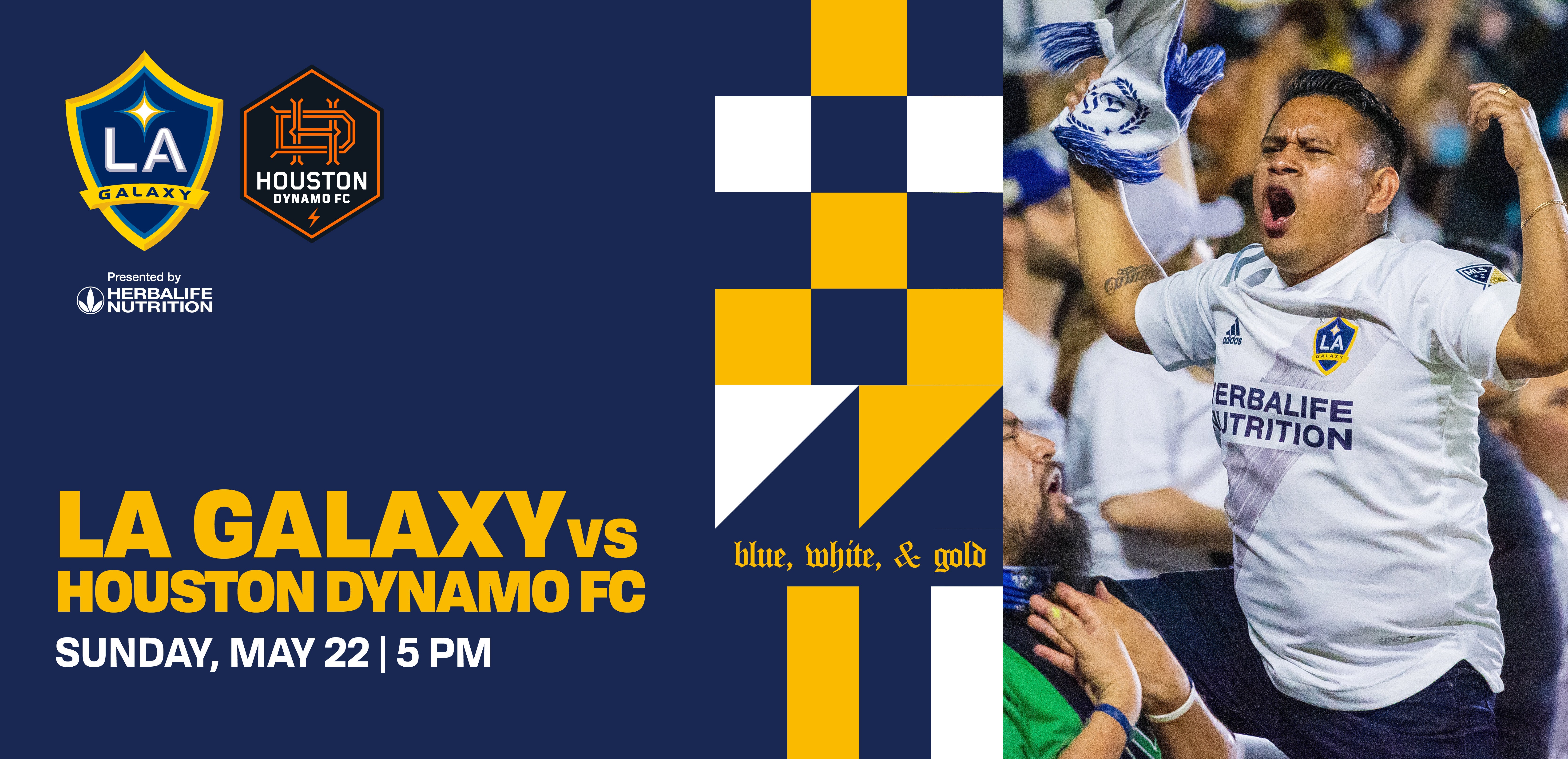 LA Galaxy vs Houston Dynamo